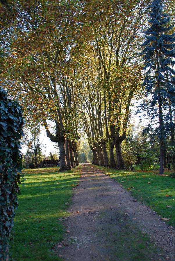 Le Moulin Du Pont D'Iverny Montmirail  エクステリア 写真